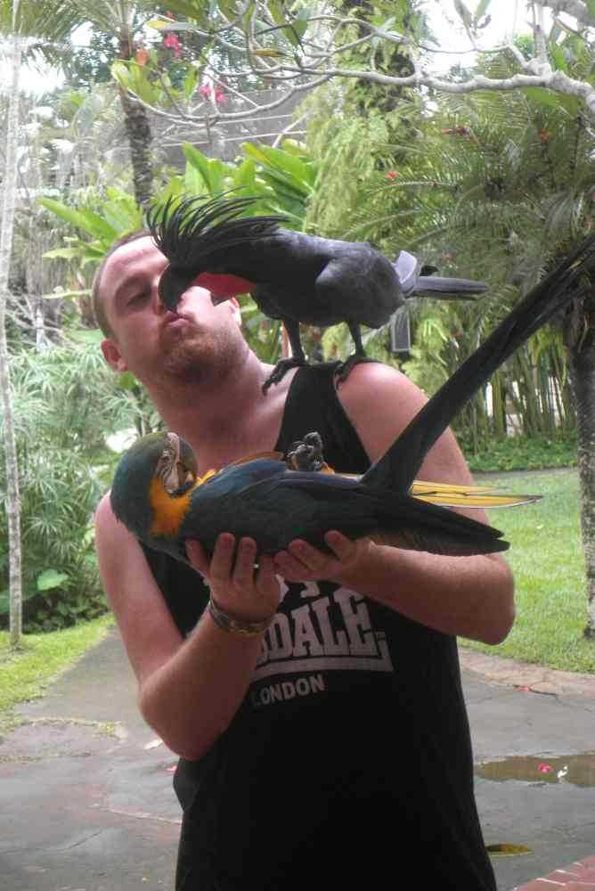 Bali Bird Park